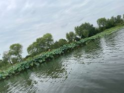 -剑鱼皮划艇俱乐部(石湖基地)