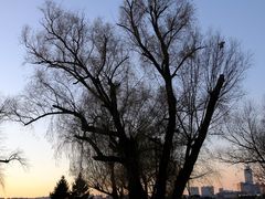 -长春市南湖公园