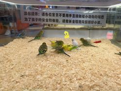 -meland亲子乐园•派对•研学(苏州悠方购物中心店)