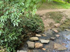 -贵阳市花溪国家城市湿地公园