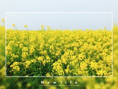 -太湖湖滨国家湿地公园-停车场