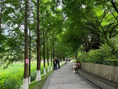 -沐仙湖湿地公园