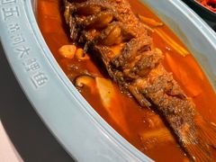 -阿五黄河大鲤鱼(英协路店)