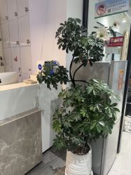 -LJOY丽锦造型·烫发染发