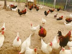 -汉长安城未央宫国家考古遗址公园