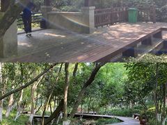 -杭州半山国家森林公园