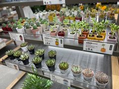 -鹿岛生活(熙地港店)
