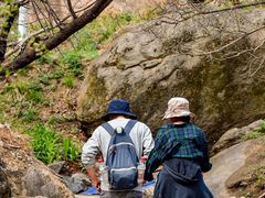 -大岭沟猕猴桃谷风景区