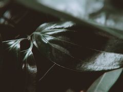 暗夜里的凝视-中央广播电视总台(光华路办公区)