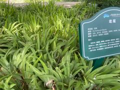 -西安浐灞国家湿地公园