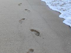 -亚龙湾海底世界