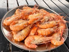 -大象营野Life营地·钓虾(坦尾店)