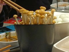 -海底捞火锅(赛格国际购物中心店)