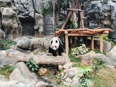-香港海洋公园
