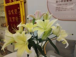 -天使妈妈产后康复中心(万宝店)