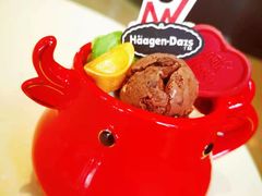 -哈根达斯(武汉天地店)