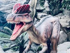 -国家自然博物馆