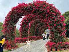 -东莞植物园