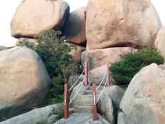 -外伶仃岛海鲜市场
