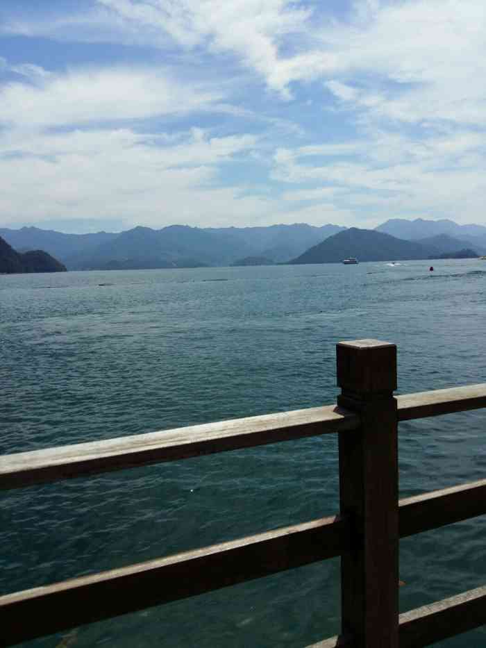 鸵鸟岛-"淳安千岛湖-之-鸵鸟岛 千岛湖的各式岛."-大众点评移动版