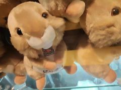 -吴越荣记苏州菜·松鼠桂鱼100%活鱼现做(斜塘老街店)