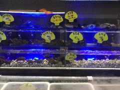-喜碧海鲜·二十年本土海鲜老字号(上排店)
