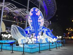 -海合安成都极地海洋公园