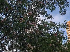 -龙头寺公园