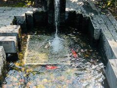 -思南公馆