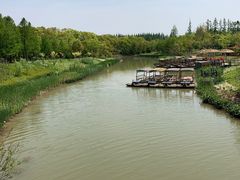 -上海长兴岛郊野公园