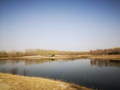 -东郊湿地公园