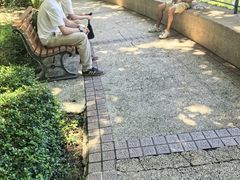 -九龙公园