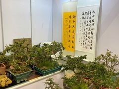 -昆明滇池国际会展中心