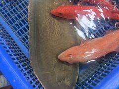 -都斛海鲜街
