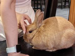 -广迎居老正兴菜馆