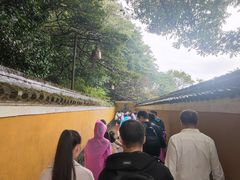 -普陀山慧济禅寺