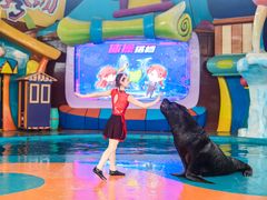 -海合安武汉极地海洋公园