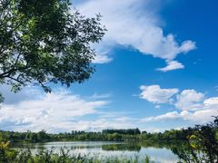 -东郊湿地公园
