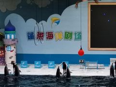 -蓬莱欧乐堡海洋极地世界