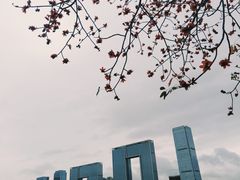 -喜洲吧·江畔老船厂·庭院餐厅(喜临院店)