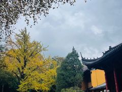 -灵谷景区