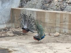 -天津盘山风景名胜区