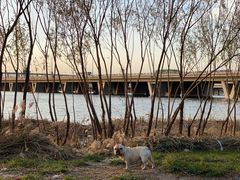 -绿堤公园