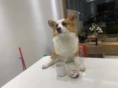 -稀物集咖啡(徽州大道店)