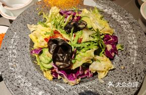 Xibe Big Salad