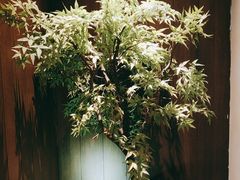 -阿嬷手作(深圳万象天地店)