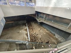 -元代水闸遗址博物馆