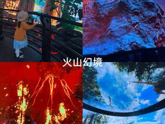 -中国西峡恐龙遗迹园