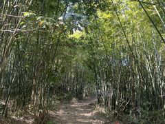 -象头山国家级自然保护区