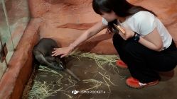 -Zoolung Zoolung动物主题公园(海信广场店)